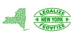 NY Grow License