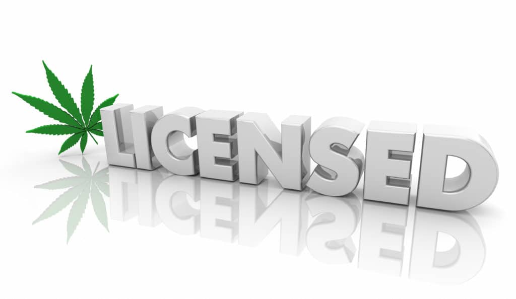 NY Cultivation License | How To Get A Cultivation License In NY