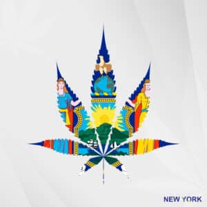 NY Cannabis Microbusiness