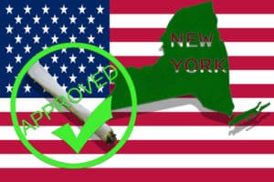 New York Marijuana Licensing