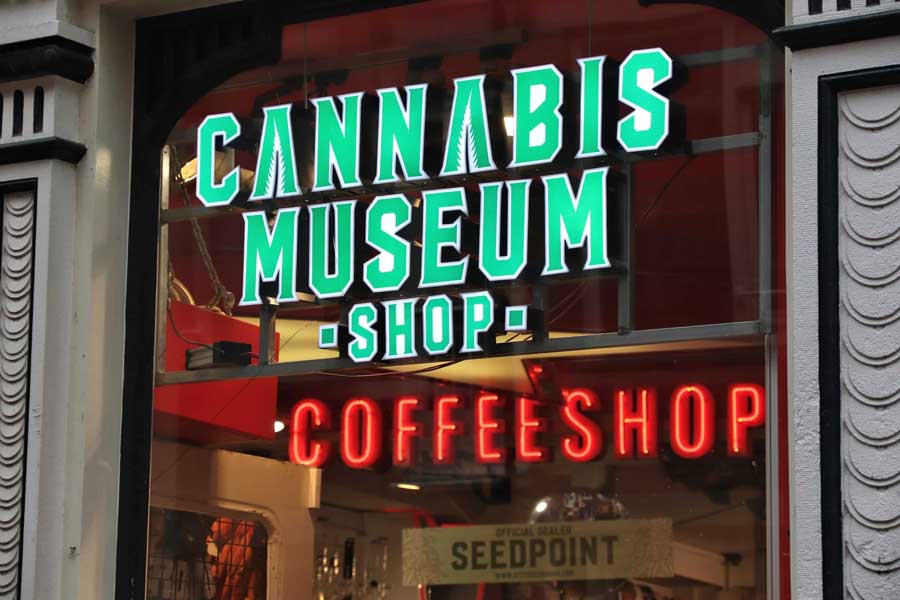 New York Cannabis Industry